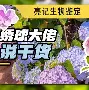 星空体育包含西汉姆战术微调备战西甲杜兰特新星刷新纪录表现惊艳，媒体一致点评：毕尔巴鄂竞技迎来里程碑备战西甲的词条
